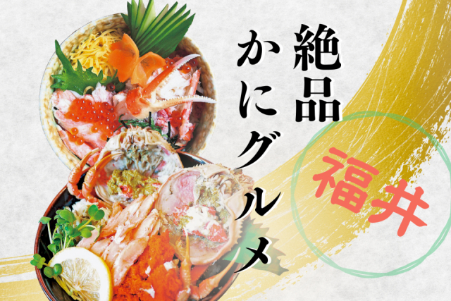 越前がにを福井で食べるならココ!冬の味覚人気NO.1!