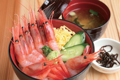 【福井の魚介×三国港の甘エビ・ガサエビ】越前三国湊 海船や