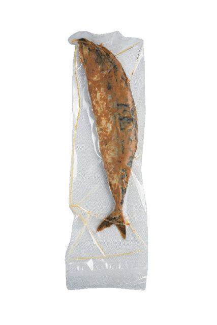 若狭海遊バザール千鳥苑