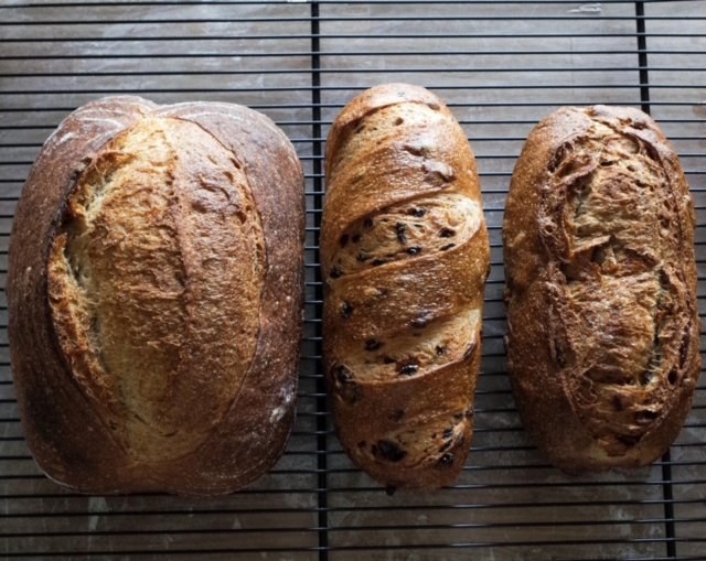 【しまなみ海道/大三島】まるまど