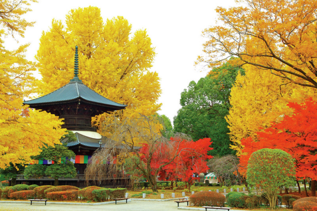 【足利×観光】② 鑁阿寺