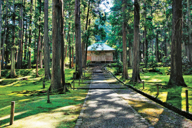 【平泉寺白山神社×見どころ①】拝殿