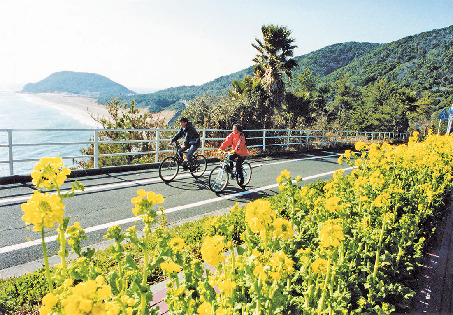 【CLOSE UP】渥美サイクリングロードで潮風に吹かれてサイクリング