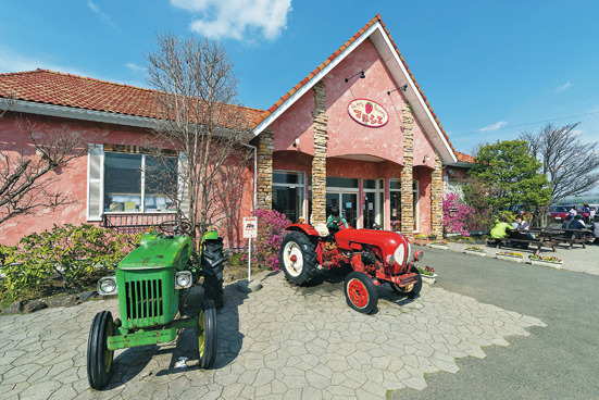 【栃木のいちご】いちごの里でいちご三昧!