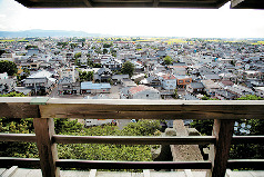 【旅column】丸岡城