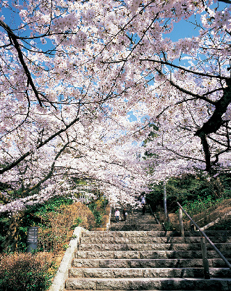 【旅column】市民の憩いのスポット 足羽山公園さんぽ