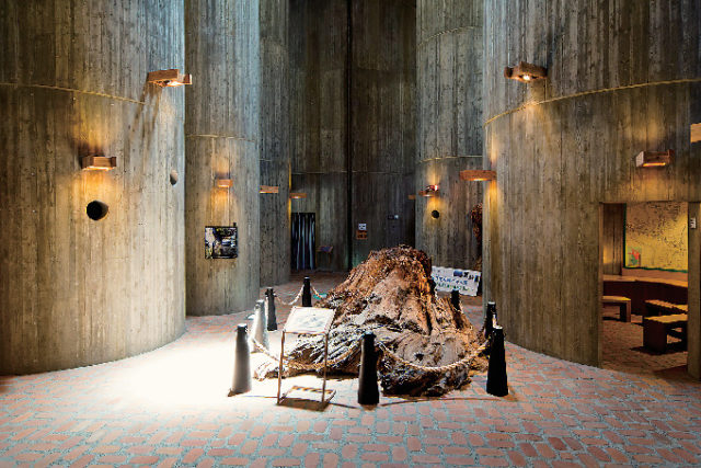 若狭三方縄文博物館 DOKIDOKI館