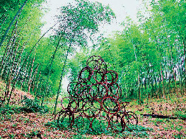 東尋坊・三国おすすめの観光スポット 金津創作の森