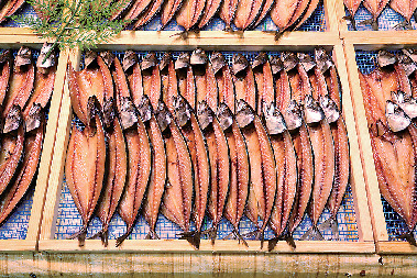 【南知多×ドライブ】BBQ&市場食堂でとれたての魚貝を食べ尽くす「魚太郎・本店」