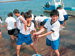 漁業体験・タコつかみ取り
