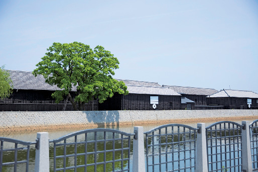 街で見つけたステキな風景