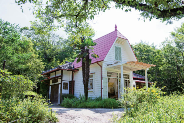 愛・地球博記念公園(モリコロパーク)