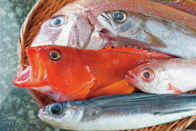 新鮮な旬の地魚を気軽にチョイスできる「西伊豆の回転ずし 伊豆ととや」