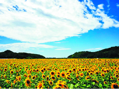 【栃木×道の駅】「器と農、食のまち」益子のおいしいが一堂に!「道の駅 ましこ」