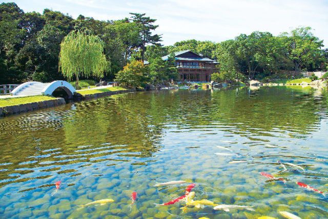 フォトジェニック