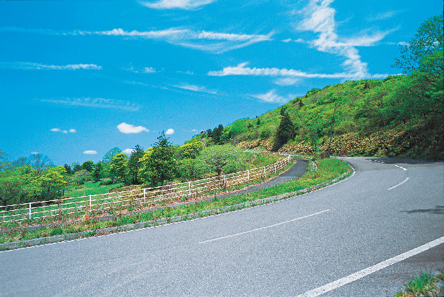 コースの見どころポイント