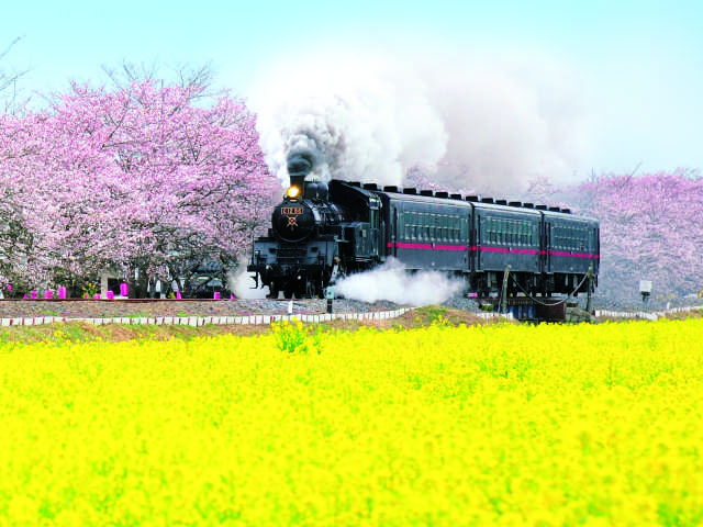 【茨城~栃木・真岡鐵道】SLもおか