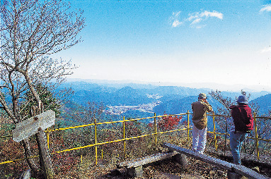 【香嵐渓&茶臼山×高原ドライブ2】広大な自然林でヒーリング「面ノ木園地」