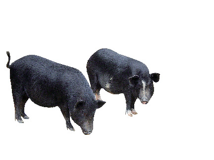 サンテパルクたはら