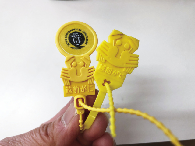 越前松島水族館の館内をご案内