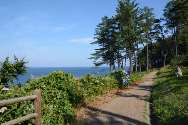 【東尋坊×見どころ&遊びどころ】荒磯遊歩道