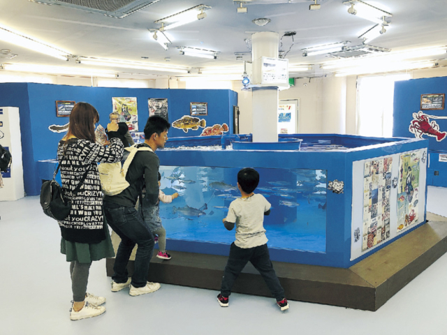 生き物とのふれあいポイントがいっぱい!