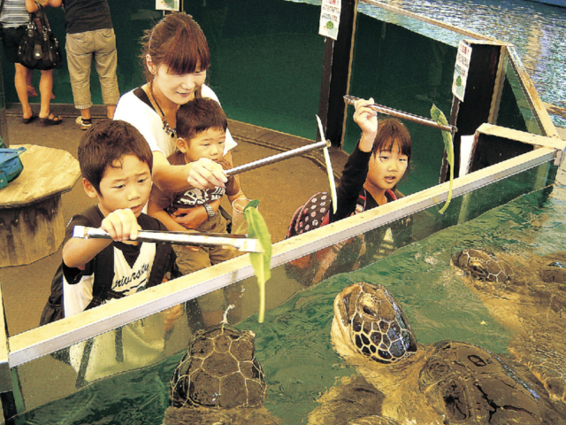 生き物とのふれあいポイントがいっぱい!