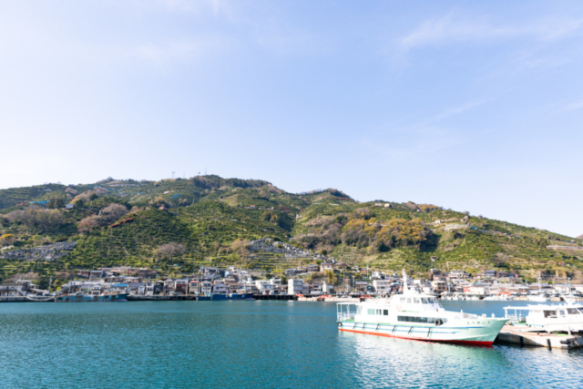 道の駅 八幡浜みなっと