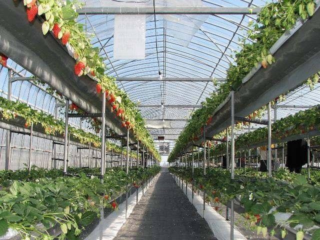 3.料金プランや設備を確認しよう