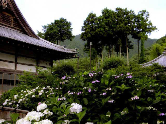 【第二十九番】笹戸山 長泉院