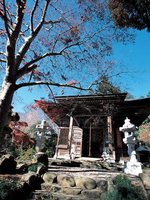 【第二十番】法王山 岩之上堂