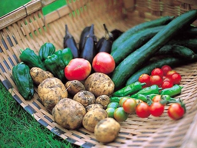 ナチュラルファームシティ農園ホテル