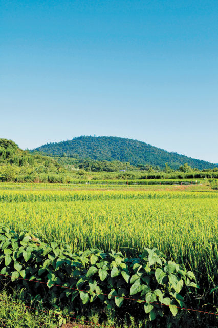 【山の辺の道×観光】モデルコース