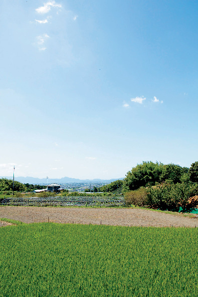 【山の辺の道×観光】モデルコース