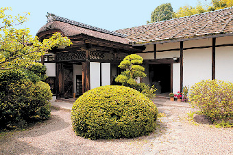 【山の辺の道×観光】晩春のツツジなど四季の花が彩る「長岳寺」