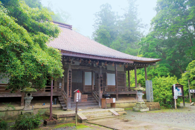 中千本のお立ち寄り観光スポット「如意輪寺」