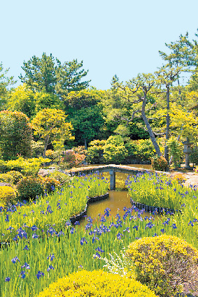 【平城京跡周辺エリアのおすすめスポット】法華寺