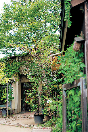 【くるみの木】緑に囲まれた小さな一軒家カフェをご案内