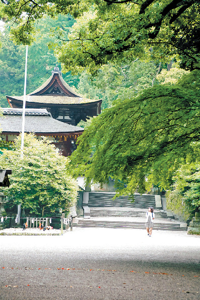 【山の辺の道×観光】おごそかな雰囲気に包まれた古社「石上神宮」