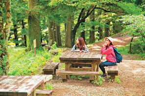 【東京・御岳山×ハイキング】多摩地域を一望「長尾平」