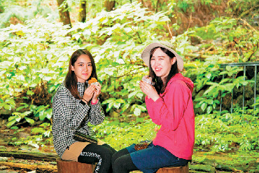 【東京・御岳山×ハイキング】約1.5kmの岩と苔のコース「ロックガーデン」