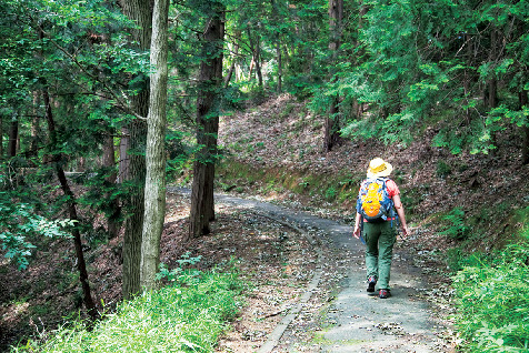 【埼玉・奥武蔵×観光➀】雑木林の木立が美しい「加治丘陵の遊歩道」