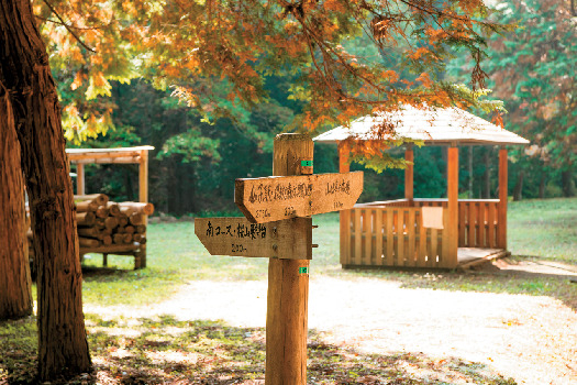 【埼玉・奥武蔵×観光➁】東屋が目印に「山の仕事広場」