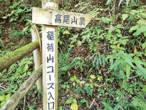 【東京】高尾山6号路〜もみじ台+稲荷山コース