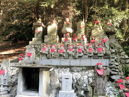 【東京・高尾山×登山➀】舗装路から山道へ「6号路入口 」