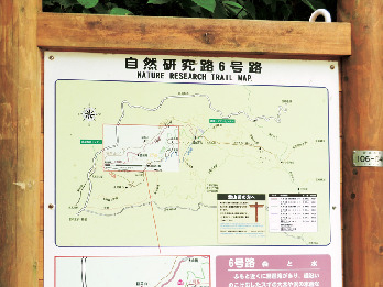 【東京・高尾山×登山➀】舗装路から山道へ「6号路入口 」