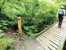 【東京・高尾山×登山➂】山頂までは約50分「大山橋」