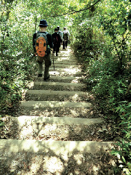【東京・高尾山×登山➄】奥高尾の入口「もみじ台」