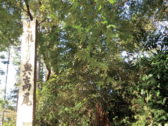 【東京・高尾山×登山➄】奥高尾の入口「もみじ台」