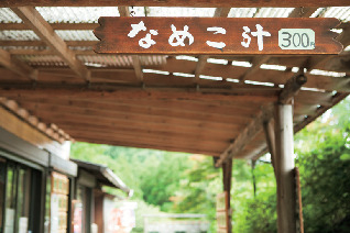 【東京・高尾山×登山➄】奥高尾の入口「もみじ台」